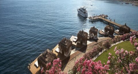 أفضل فنادق بودروم التي يوصى بها عند زيارة تركيا